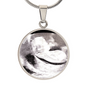 02062026 Sonogram