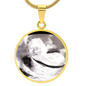 02062026 Sonogram