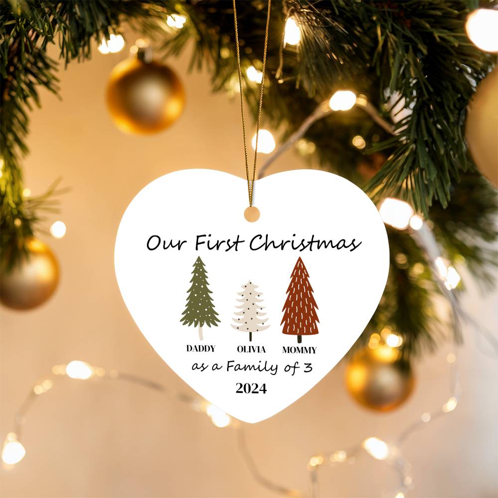 Our First Christmas as a Family of 3 Brown.Green.White 2024