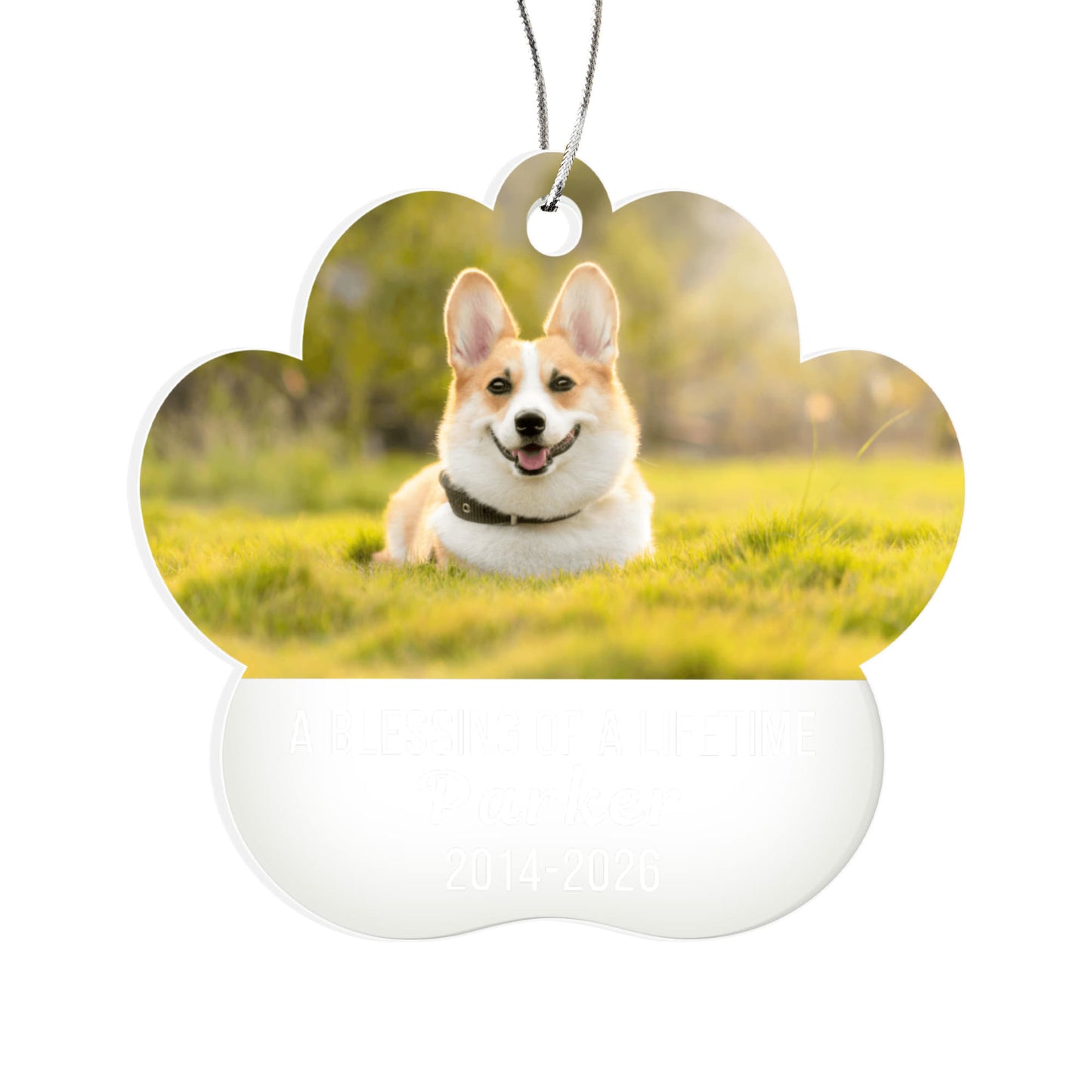 Acrylic Paw Pet Ornament