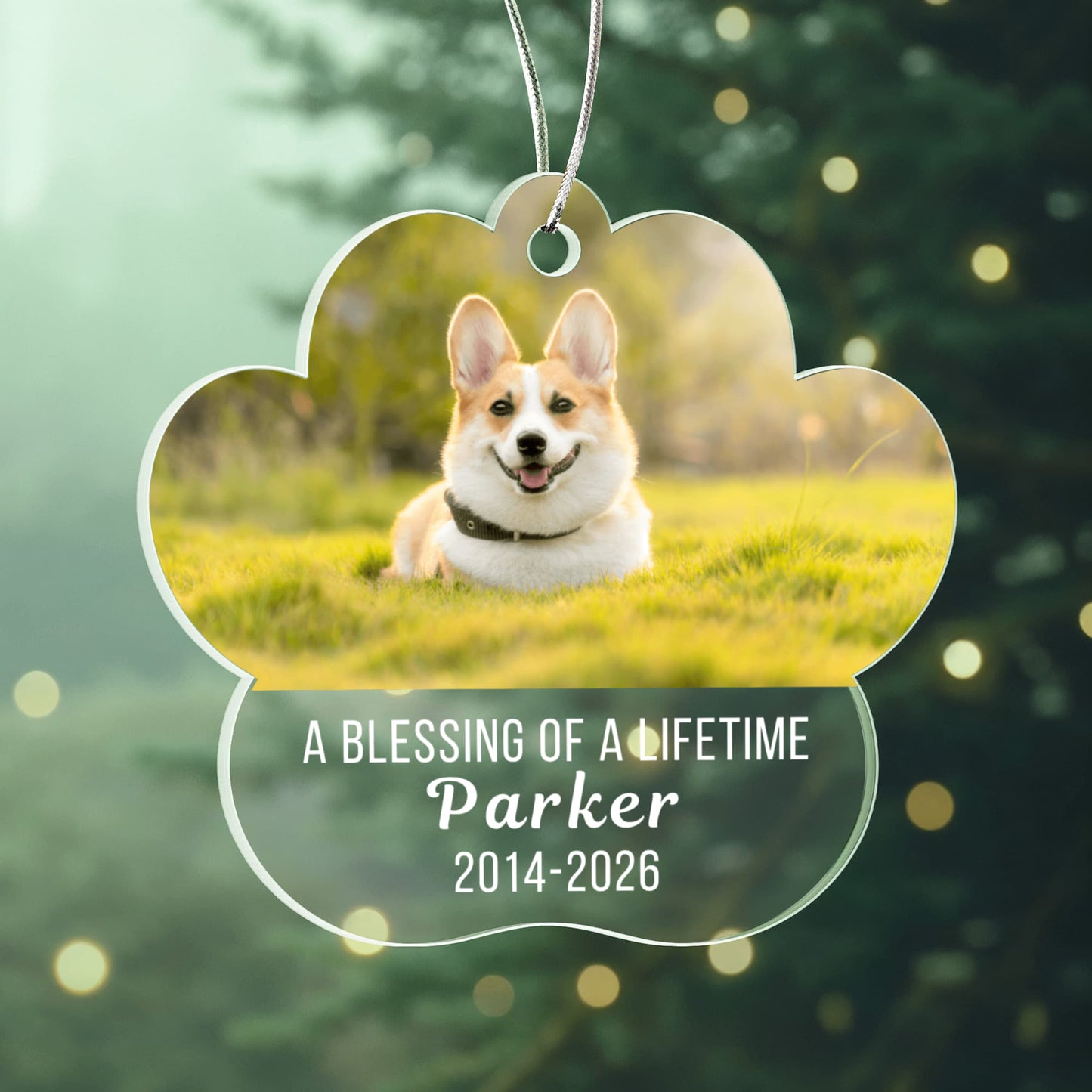 Acrylic Paw Pet Ornament