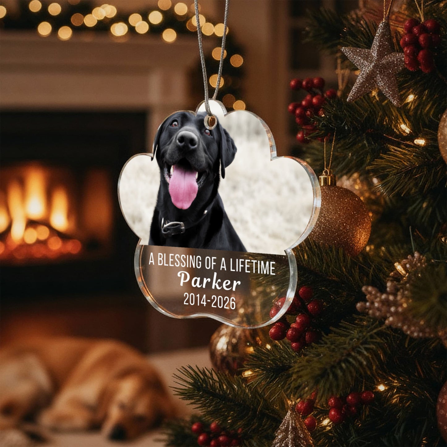 Acrylic Paw Pet Ornament