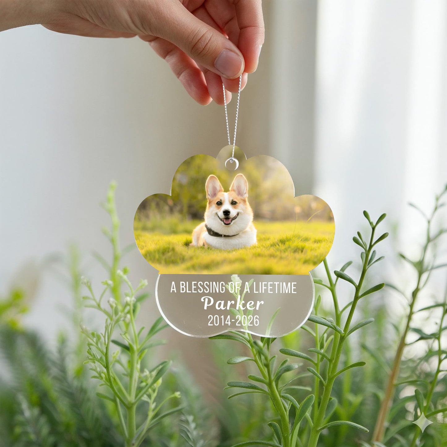 Acrylic Paw Pet Ornament
