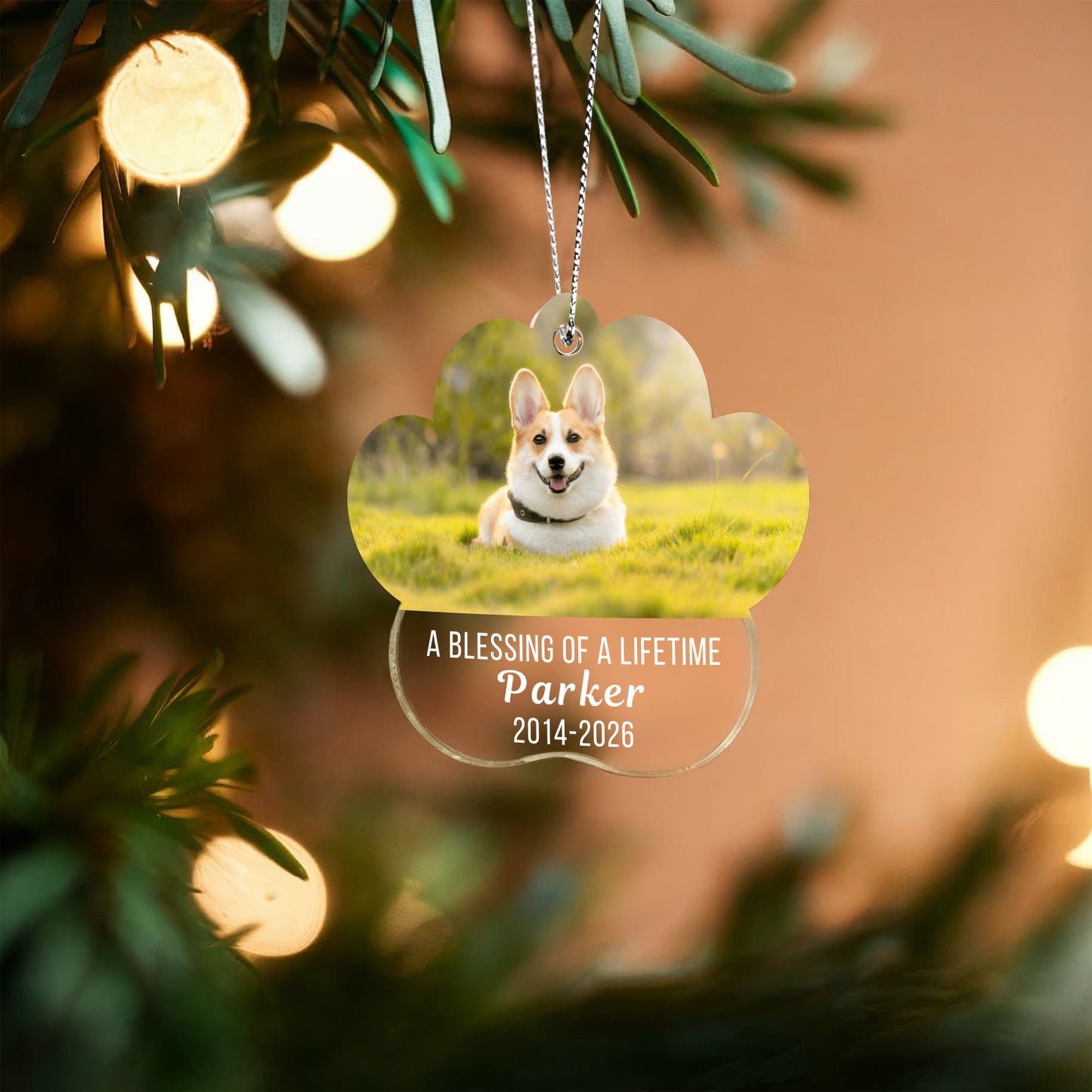 Acrylic Paw Pet Ornament