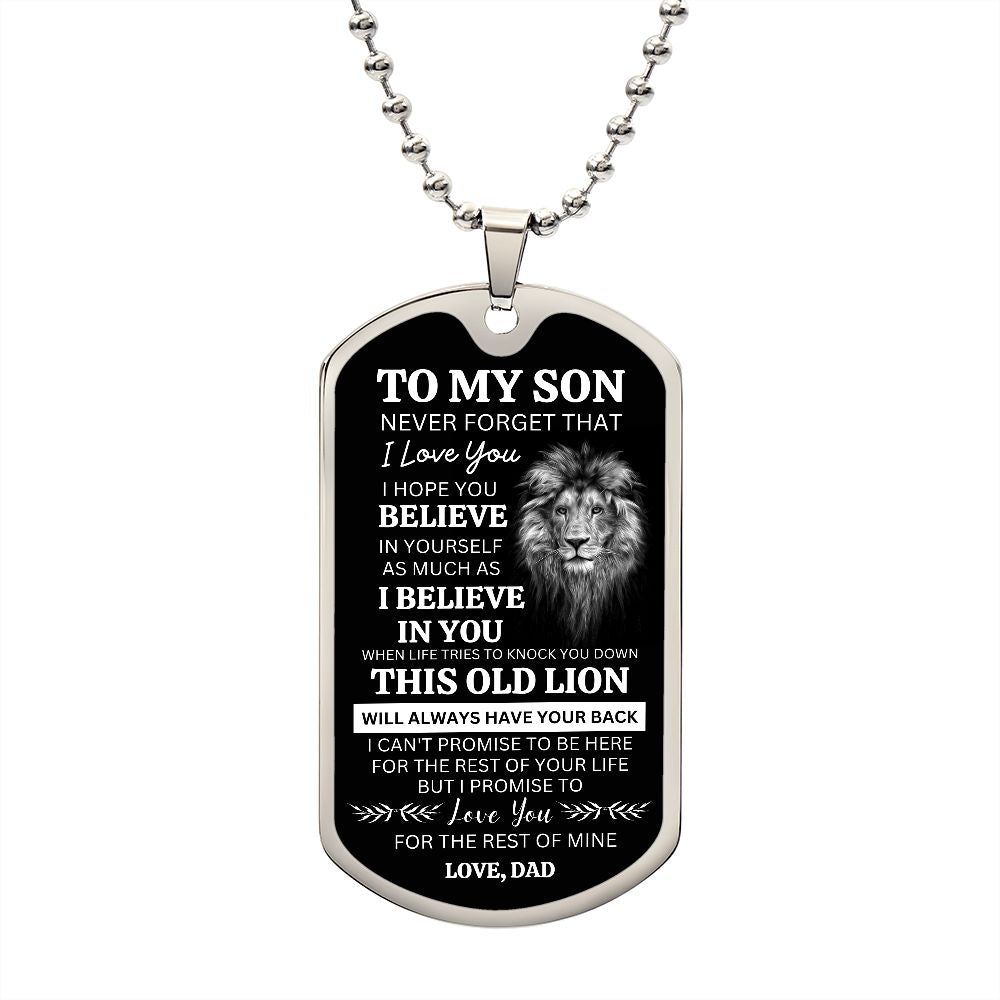 Son Lion 2